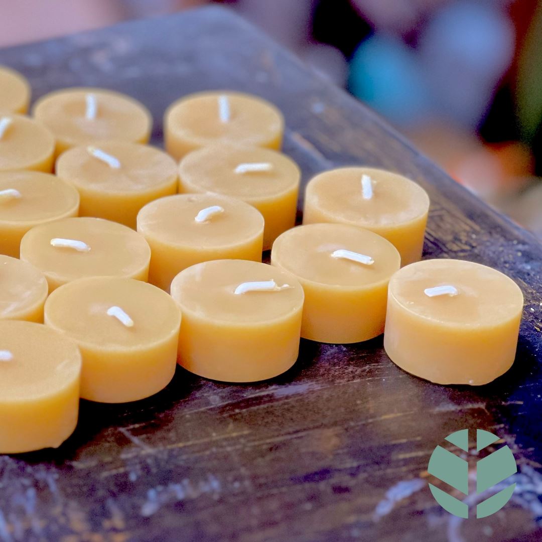 Bistad Fyrfadslys Bivoks - Uden stage, ø19g - 1 stk - Suztain.no