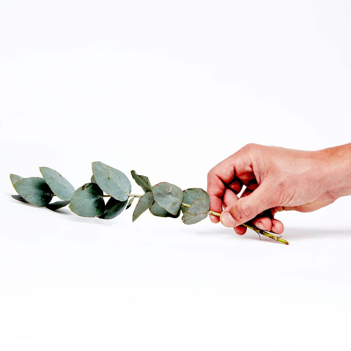 Suntribe All Natural Aftersun Balm Eucalyptus & Jojoba, 100 ml - Suztain.no