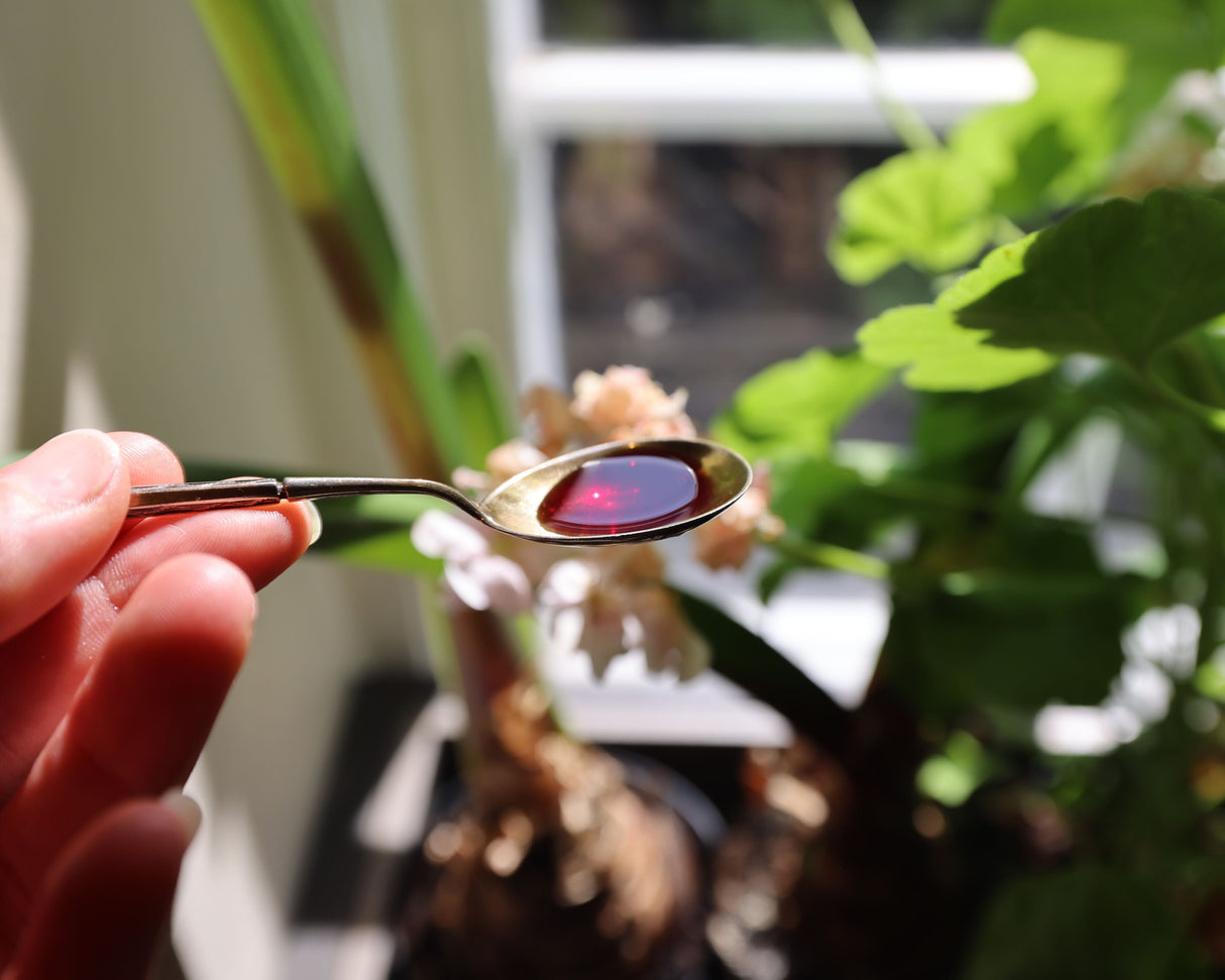 Schalk Mühle - Økologisk, ristet gresskarkjerneolje - 500 ML - Suztain.no