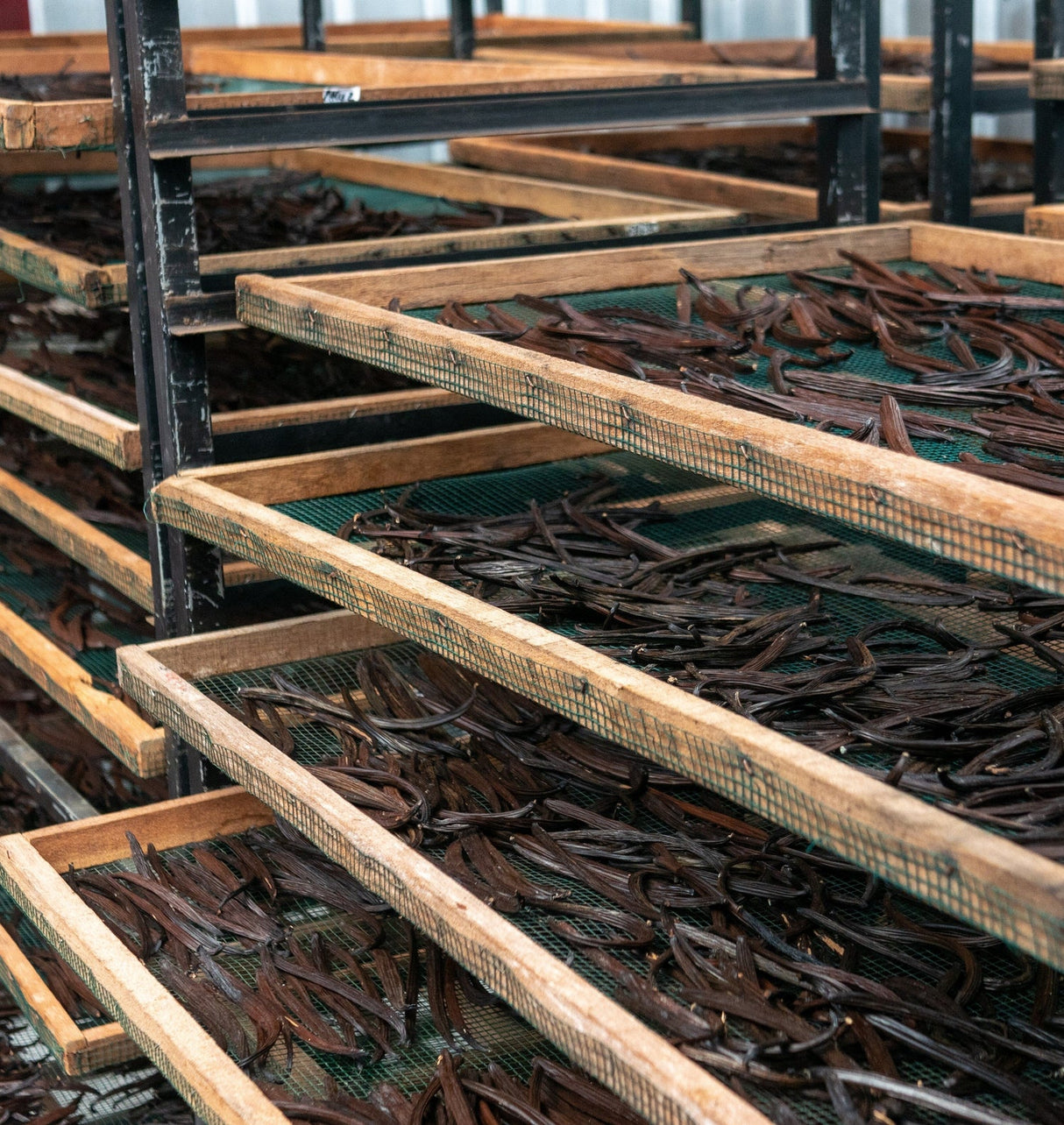 Suztain Økologiske Madagascar Vaniljestenger - 5stk - Suztain.no