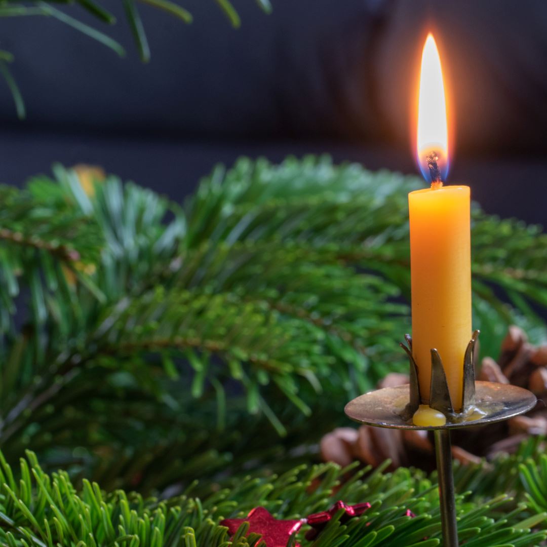 Juletræslys Bivoks - 20 STK - Suztain.no