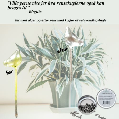 Suztain Rensekuler i rustfritt Stål – 300 stk - Suztain.no