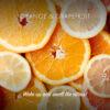 Friendly Soap såpestykke Appelsin & Grapefrukt 95g i oransje og hvit emballasje, nærbilde av fruktskiver