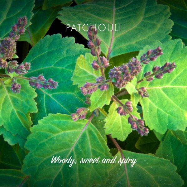 Friendly Såpestykke - Patchouli og sandeltre - 100% naturlig og vegansk - Suztain.no