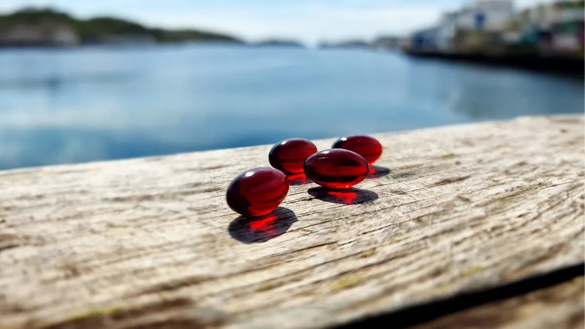 Zooca Omega-3 60 kapsler i rød gelé på treoverflate ved sjøen, nærbilde av kapslene