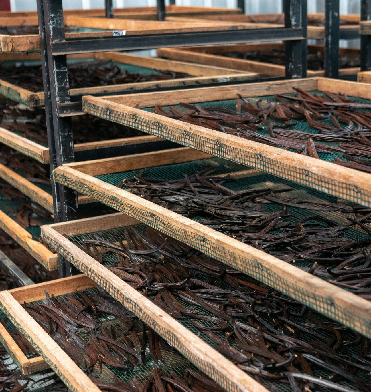 Økologiske Vaniljestenger