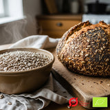 Økologiske Solsikkekjerner - 1 kg