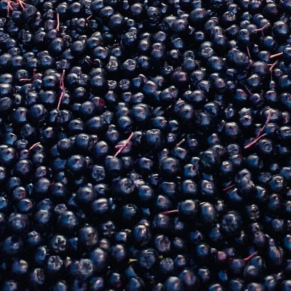 Finnish Superberries Aronia bær i mørk lilla farge med små stilker, tettpakket over hele bildet