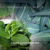 Friendly Soap balsambar Peppermynte og eukalyptus 95g med nærbilde av mynteblader og eukalyptusblader