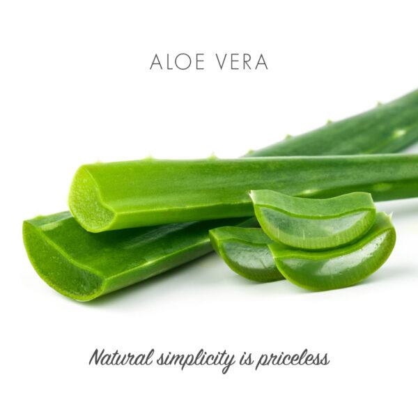 Friendly Soap såpestykke Aloe Vera 95 gram i lys grønn, med skiver av aloe vera planten i forgrunnen