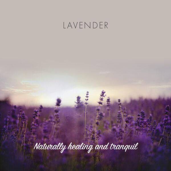 Friendly Soap såpestykke Lavendel 95g i lilla emballasje, illustrasjon av lavendelblomster i et felt ved solnedgang