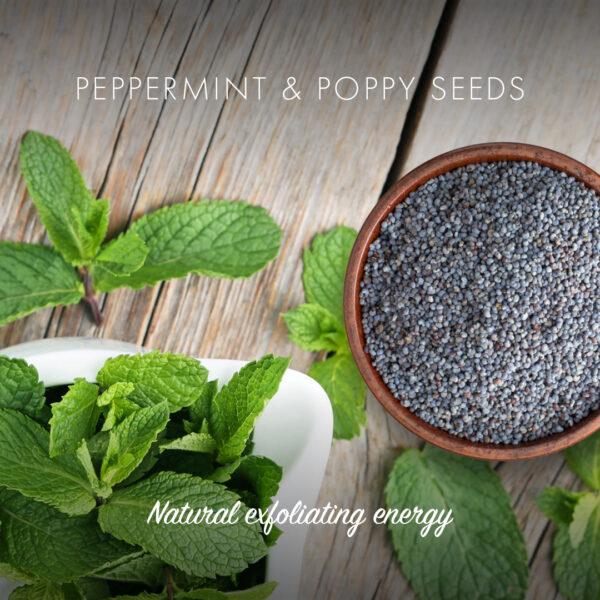 Friendly Soap såpestykke Peppermint & Poppy Seeds (95g) i hvit farge, med mynteblader og valmuefrø i separate skåler