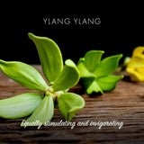 Friendly Soap såpestykke Ylang Ylang i grønn og gul, med ylang ylang-blomster på en treoverflate