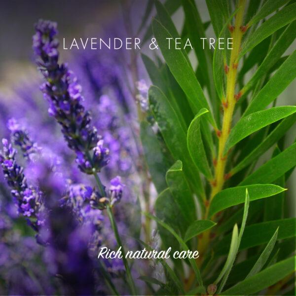 Friendly Soap sjampobar Lavendel & Tea Tree 95g i bilde med lavendelblomster og grønne blader