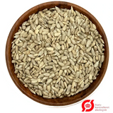 Suztain Økologiske Solsikkekerner - 1000 Gram