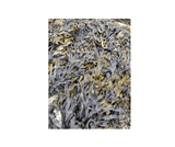 Sea Magik sjampo 3 Seaweed 300 ml grå i plastflaske, nærbilde av tang på steingrunn