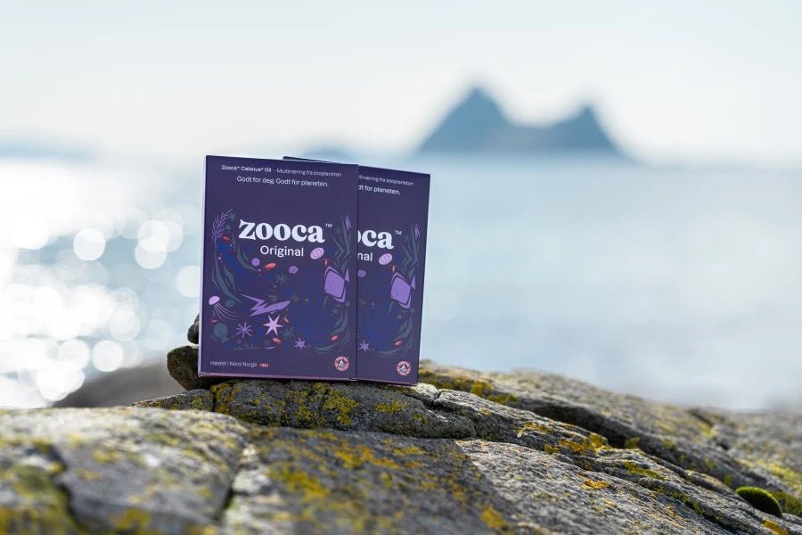 Zooca Original Omega-3 60 kapsler i lilla eske med maritimt design på stein ved havet